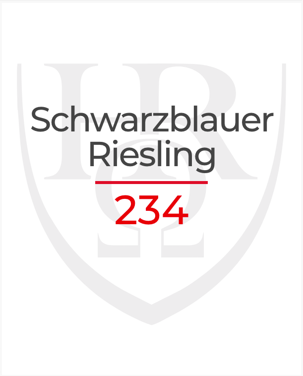 Schwarzblauer Riesling 234